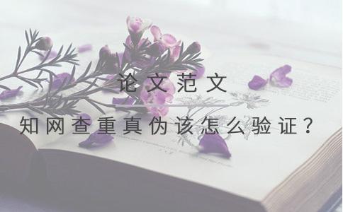 學術查重真偽該怎么驗證