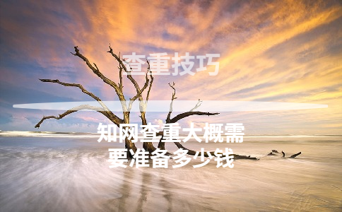 學術查重大概需要準備多少錢