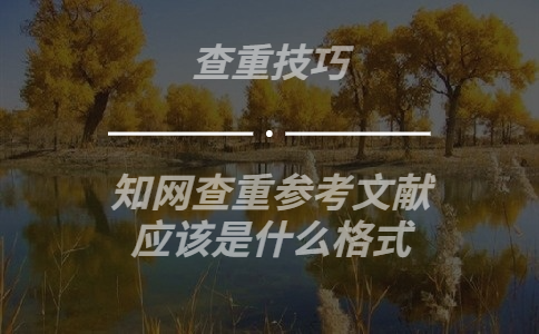 學術查重參考文獻應該是什么格式