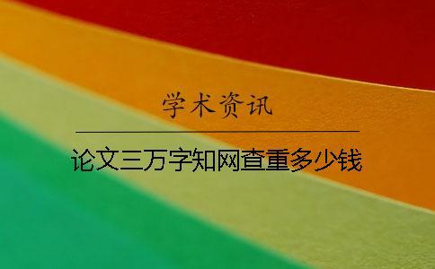 論文三萬字學術查重多少錢？