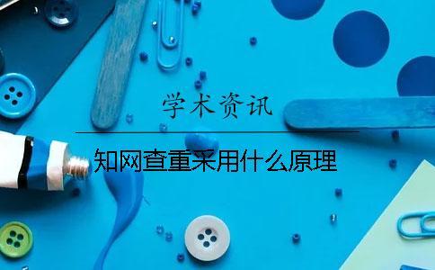 學術查重采用什么原理