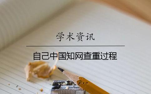 自己中國學術查重過程