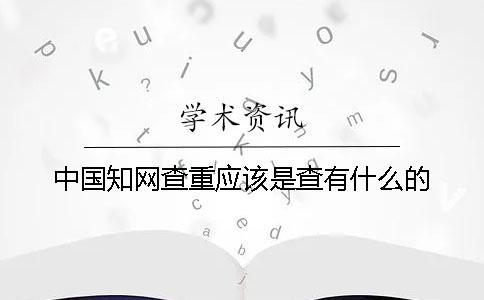 中國學術查重應該是查有什么的
