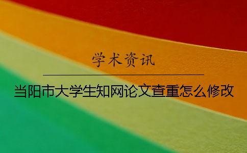 當陽市大學生學術論文查重怎么修改